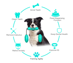 Durable Rubber Chew Bones that clean teeth while chewing